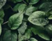 Comment associer différentes textures de tissus pour un look harmonieux et sophistiqué ?