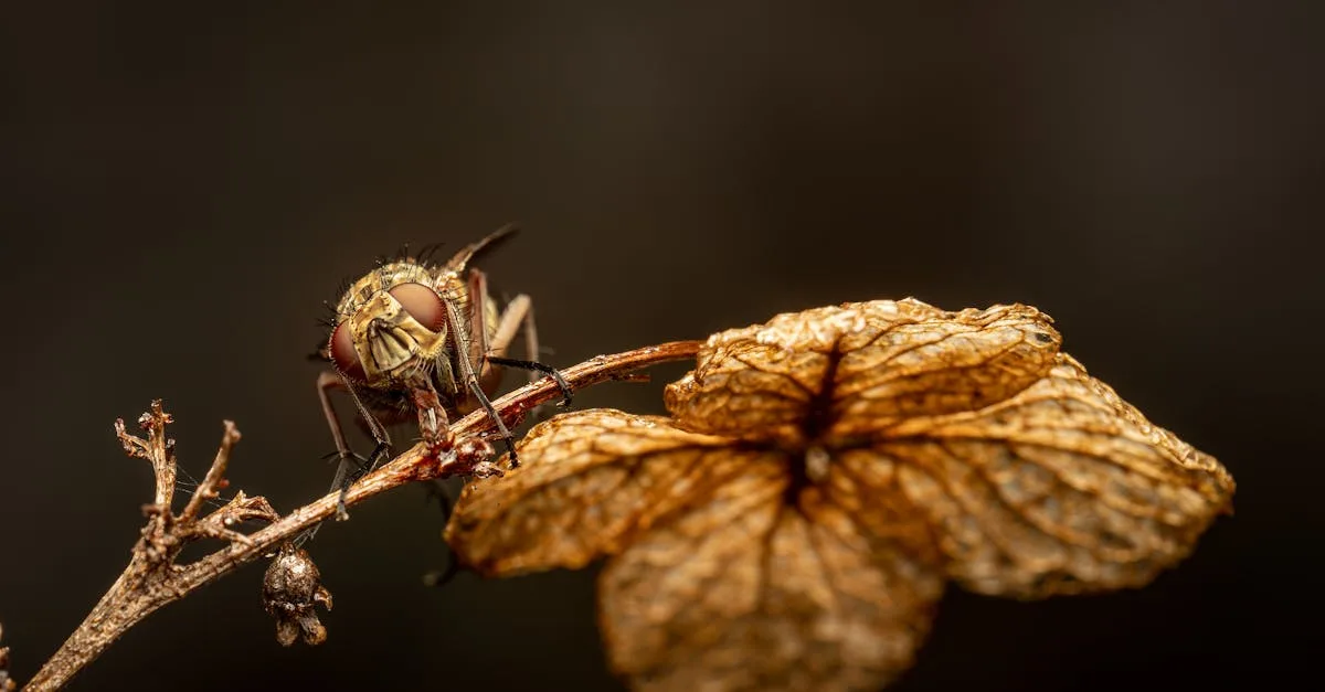 découvrez des astuces et solutions efficaces pour lutter contre les cheveux frisés (frizz) et obtenir une chevelure lisse, brillante et sans frisottis. conseils, soins et produits recommandés pour tous types de cheveux.