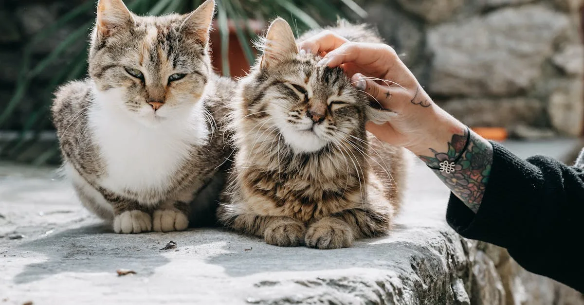 découvrez nos conseils et produits pour prendre soin de votre peau après une exposition au soleil. apaisez, hydratez et réparez votre épiderme avec une routine after-sun adaptée.
