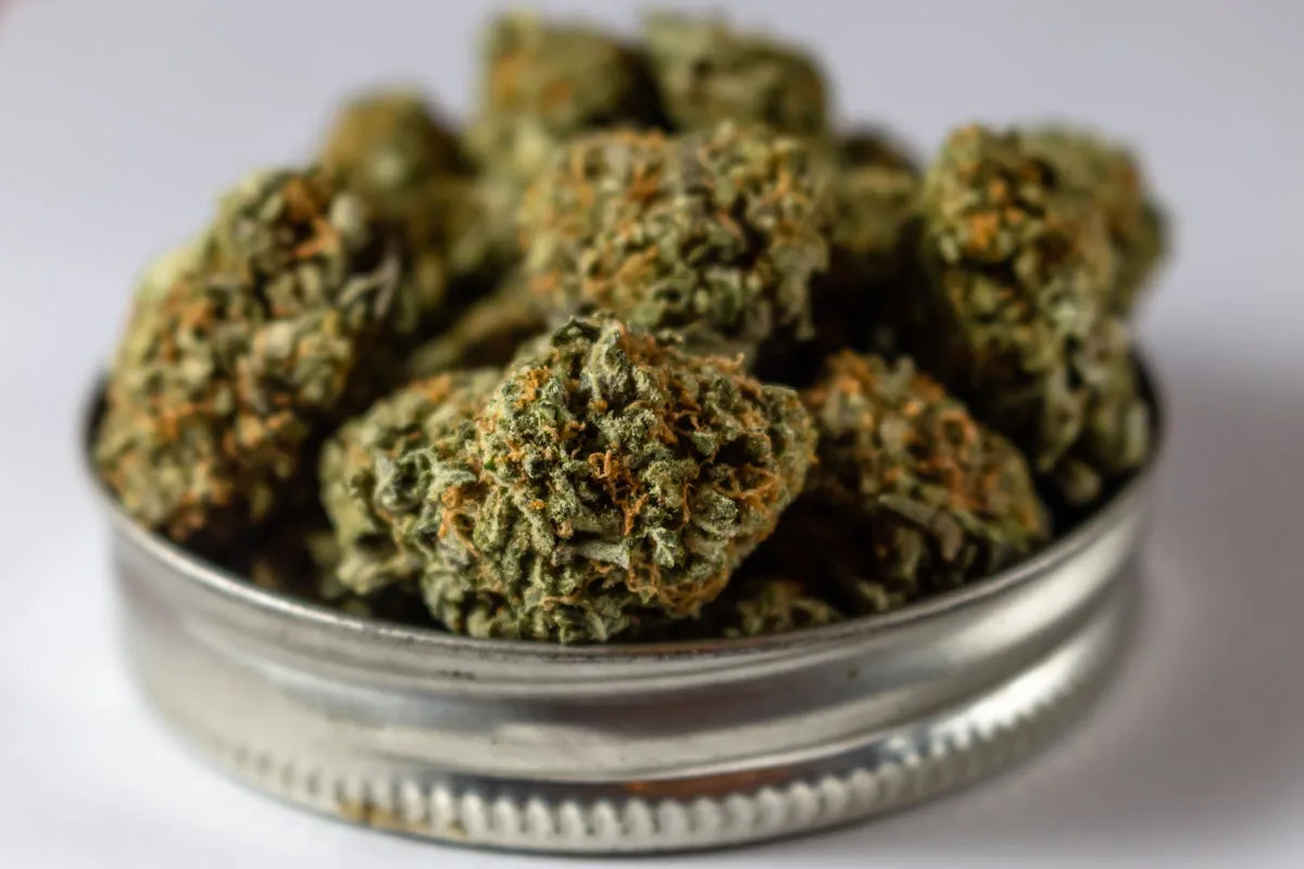 choix du grossiste CBD