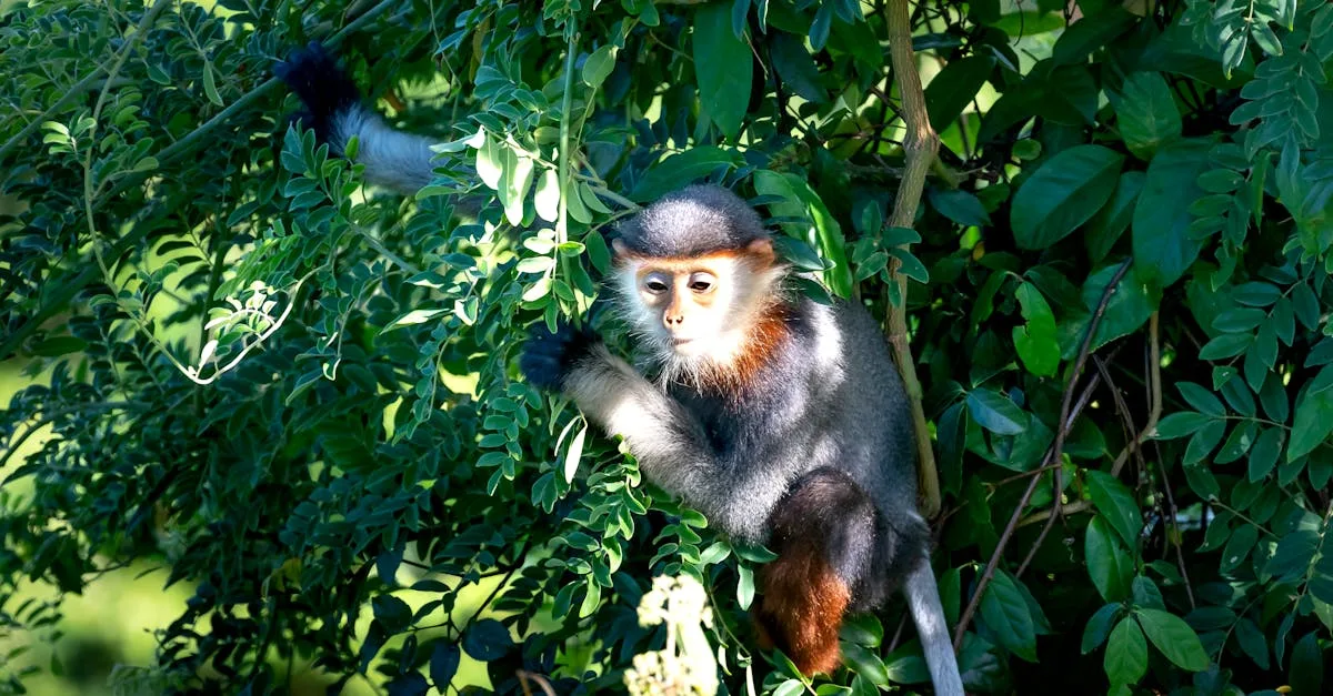 découvrez tout sur le shank : définition, usages et contextes pour mieux comprendre ce terme polyvalent.