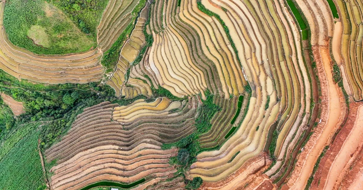 découvrez tout sur maxime biaggi : biographie, actualités, succès et parcours de ce talentueux sportif.
