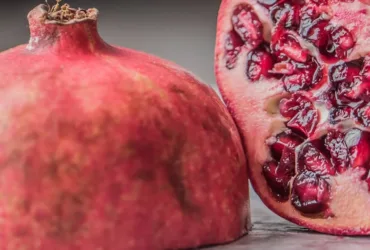 Les bénéfices d’un suivi nutritionnel personnalisé pour votre santé