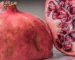 Les bénéfices d’un suivi nutritionnel personnalisé pour votre santé