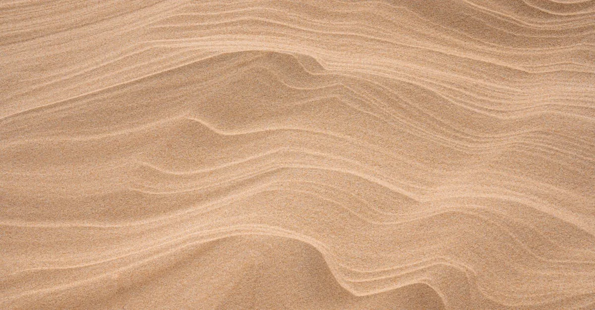 découvrez paula pesa leba leska, une artiste passionnée qui allie créativité et émotion dans chacune de ses œuvres.