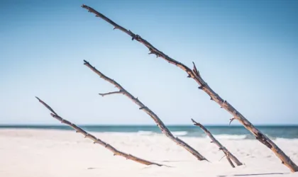 Paula pesa leba leska : qui est cette personnalité et pourquoi suscite-t-elle autant de recherches ?