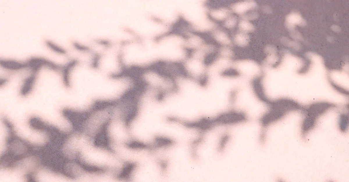 découvrez doeda, votre solution innovante pour simplifier votre quotidien avec des outils performants et faciles à utiliser.