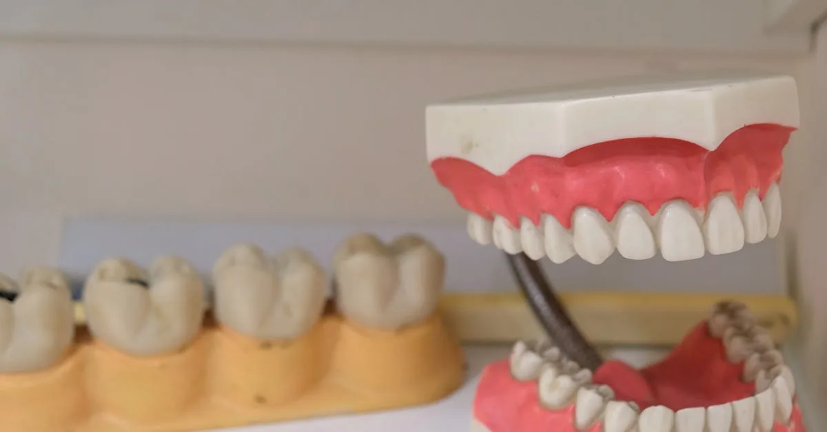 découvrez nos céramiques dentaires de haute qualité, conçues pour restaurer la beauté et la fonctionnalité de vos dents avec précision et durabilité.