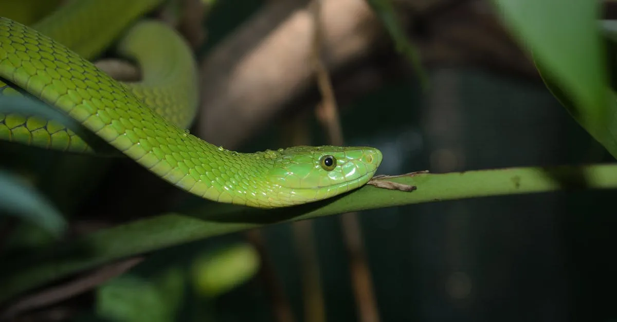 découvrez les expressions argotiques les plus populaires, leur signification et leur usage dans le langage courant.