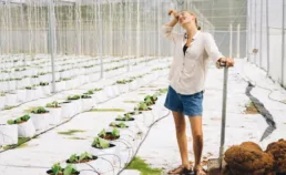 Comment optimiser l’aquaponie : culture combinée de poissons et plantes