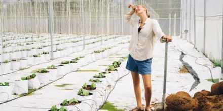 Comment optimiser l’aquaponie : culture combinée de poissons et plantes