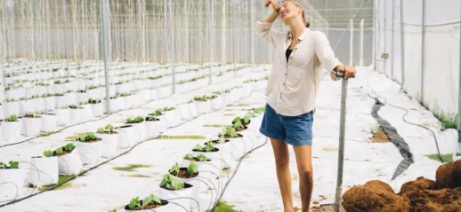 Comment optimiser l’aquaponie : culture combinée de poissons et plantes