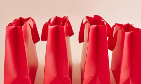 Les critères essentiels à vérifier avant d’acheter un sac