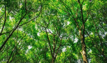 Réglementation et Normes Environnementales Clés pour la Construction de Maison