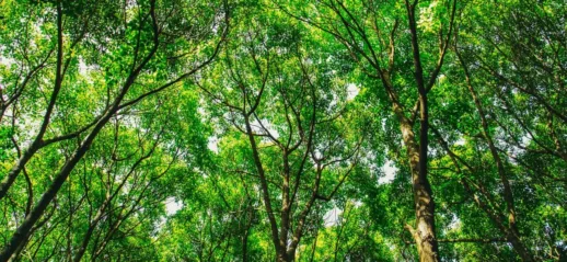 Réglementation et Normes Environnementales Clés pour la Construction de Maison