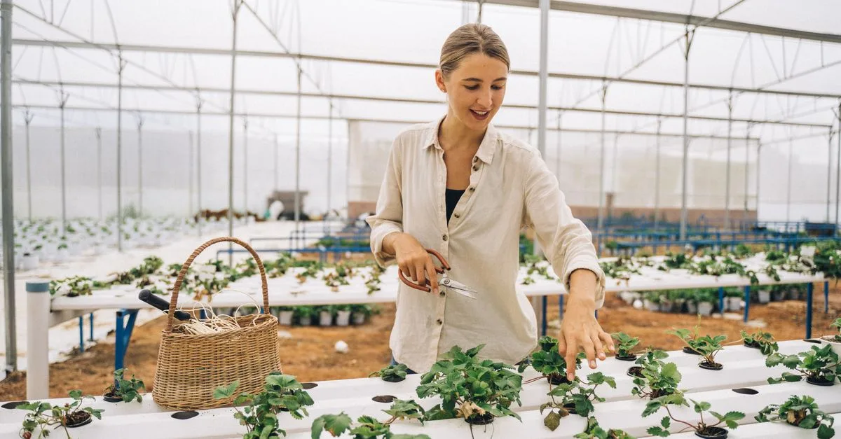 découvrez l'agriculture écologique innovante qui allie technologie moderne et respect de l'environnement pour une production durable et responsable.