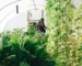 La ferme des grands champs : pionnière d’une agriculture écologique innovante