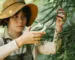 Comment choisir et tailler efficacement vos plantes pour un jardin en parfaite santé